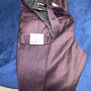 Express Dress pants 29/30 with tags included